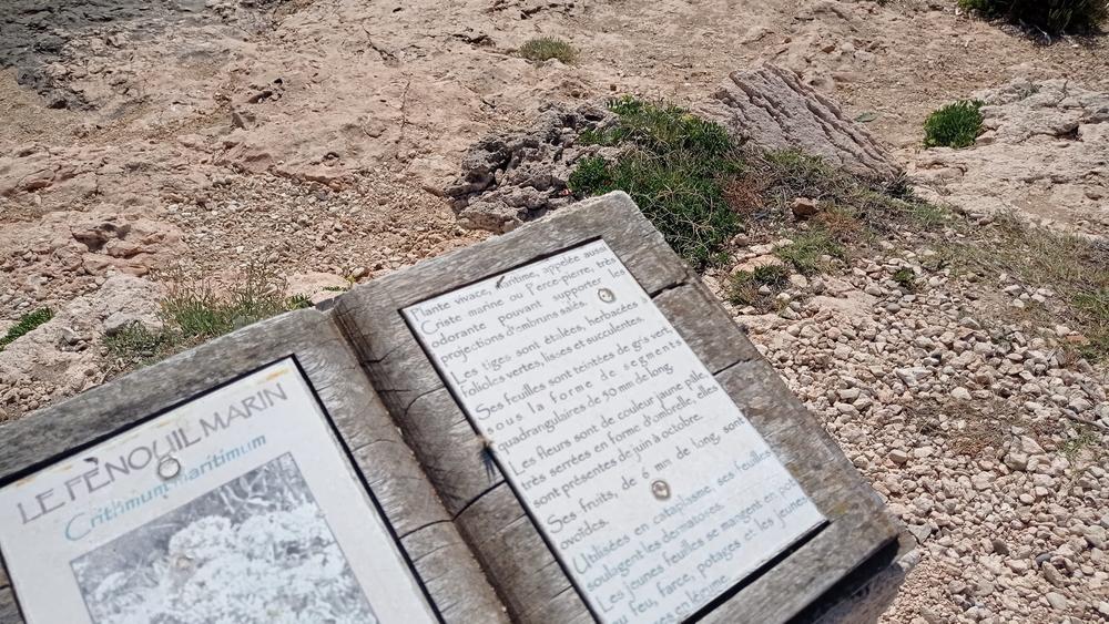 Boucle botanique de la plaine de Carro_Martigues