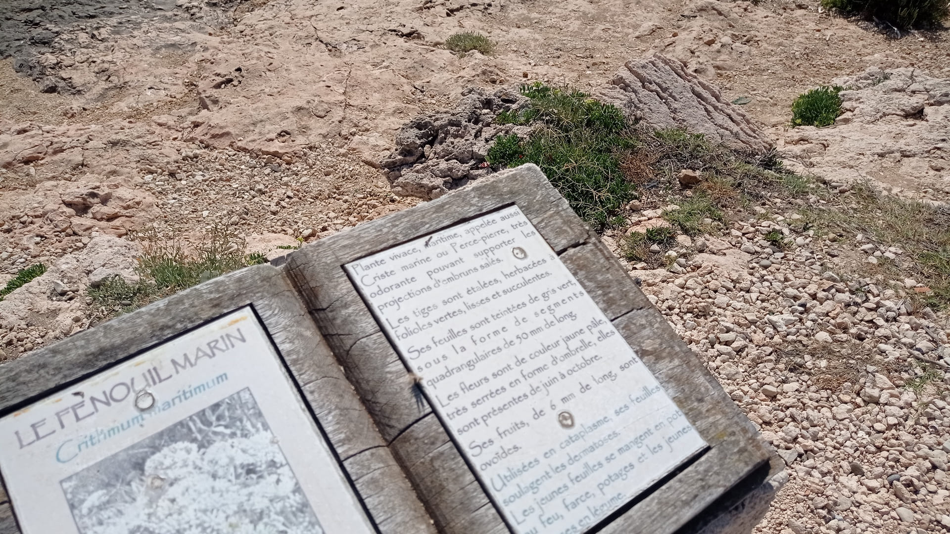 Boucle botanique de la plaine de Carro