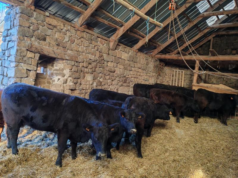 Petit gîte La Ferme de Magnaudès_Borée