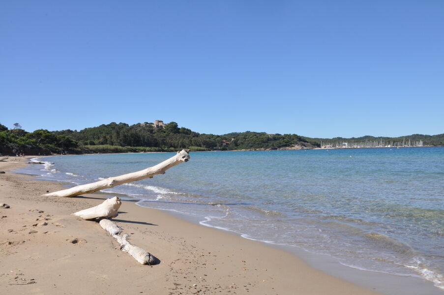 Plage de la Courtade - île de porquerolles - Hyères