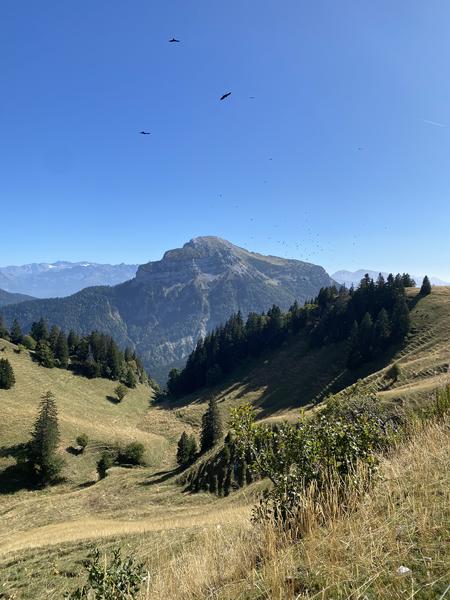 8 - Le Charmant Som en trail