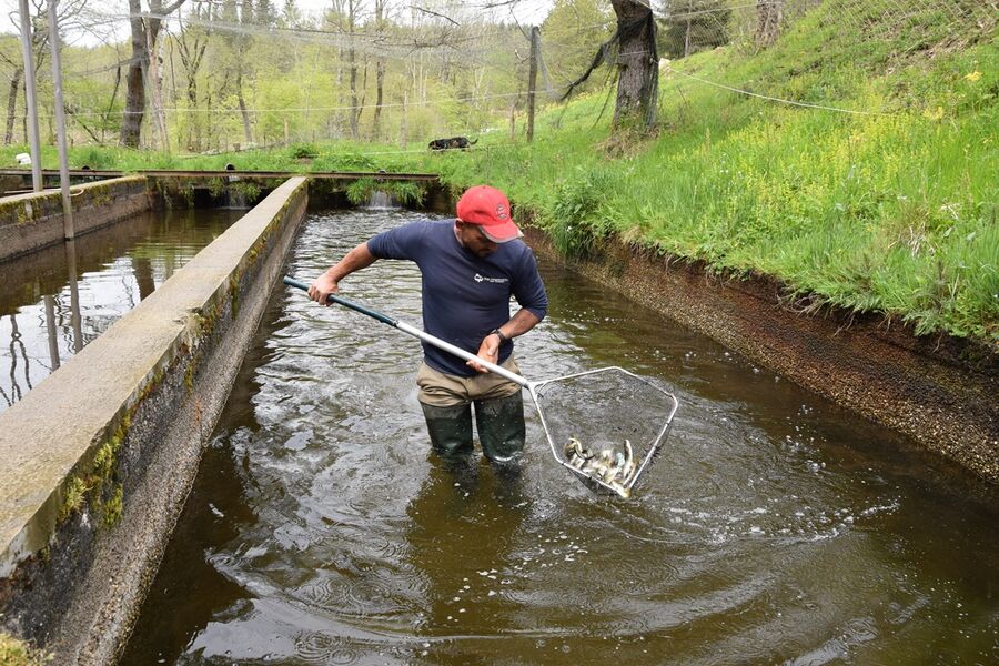 Pisciculture de Jaladieu