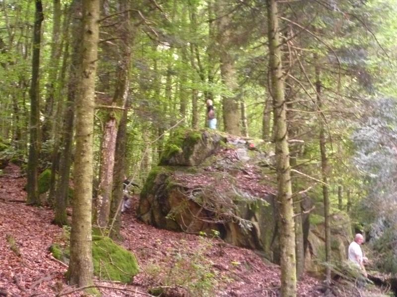 Chaos rocheux dans la hêtraie de la Roche d'Ajoux