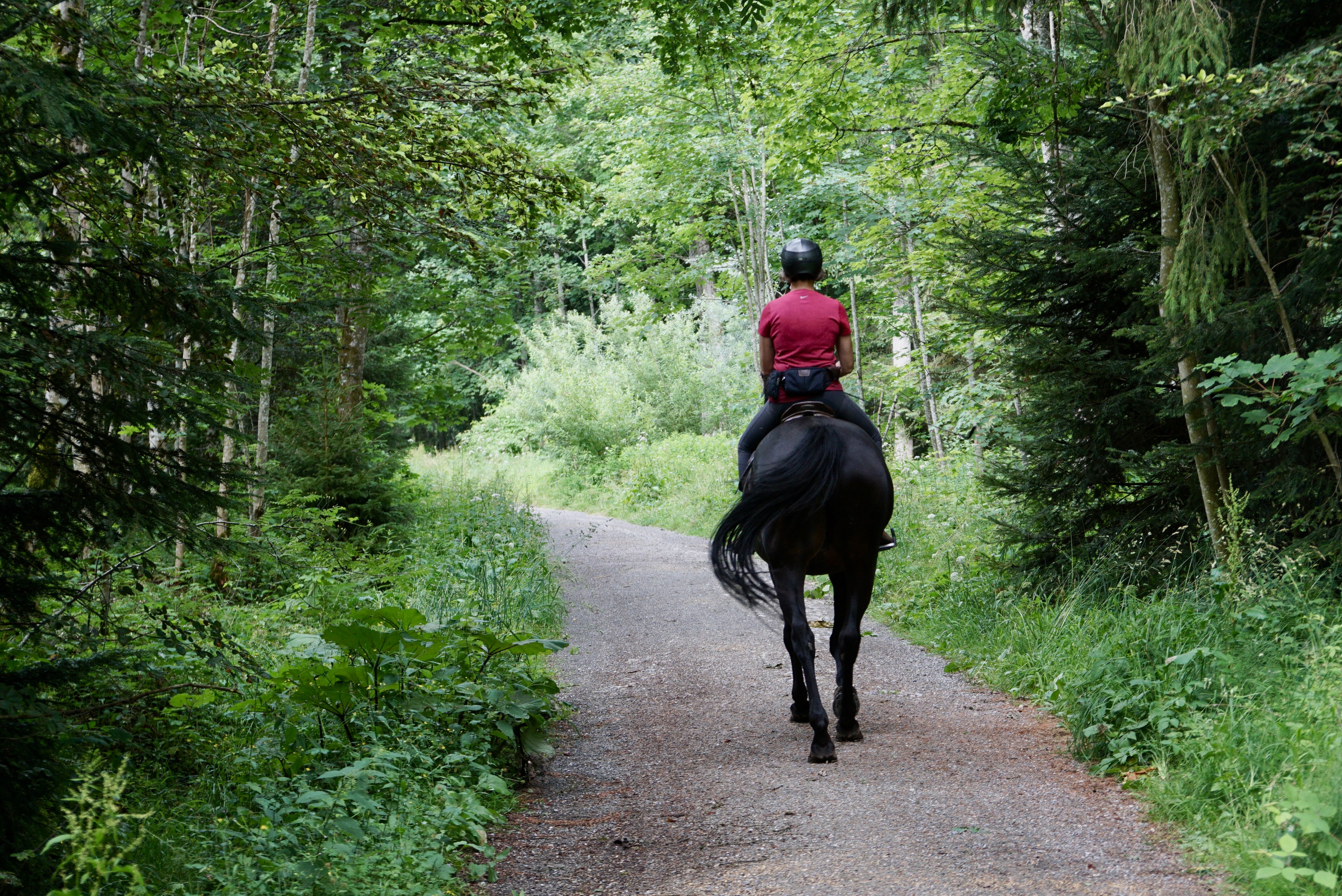 ECV Equitation - Le bois Moret_Auvers-Saint-Georges
