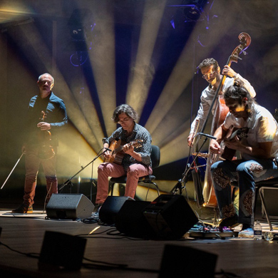 Minor Sing : Éléphant