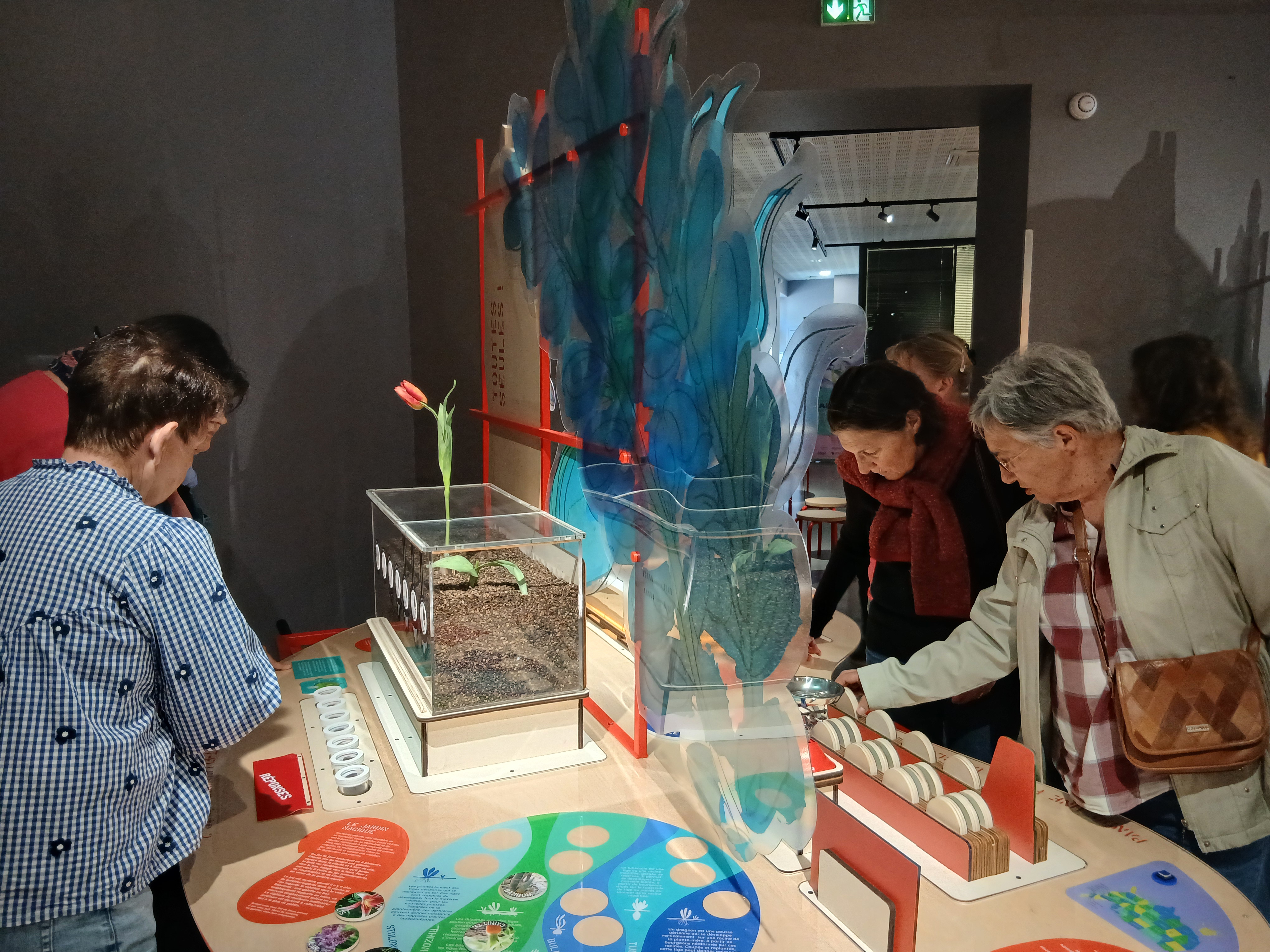 Exposition temporaire : Graines, comment naissent les plantes ?_Le Cheylard