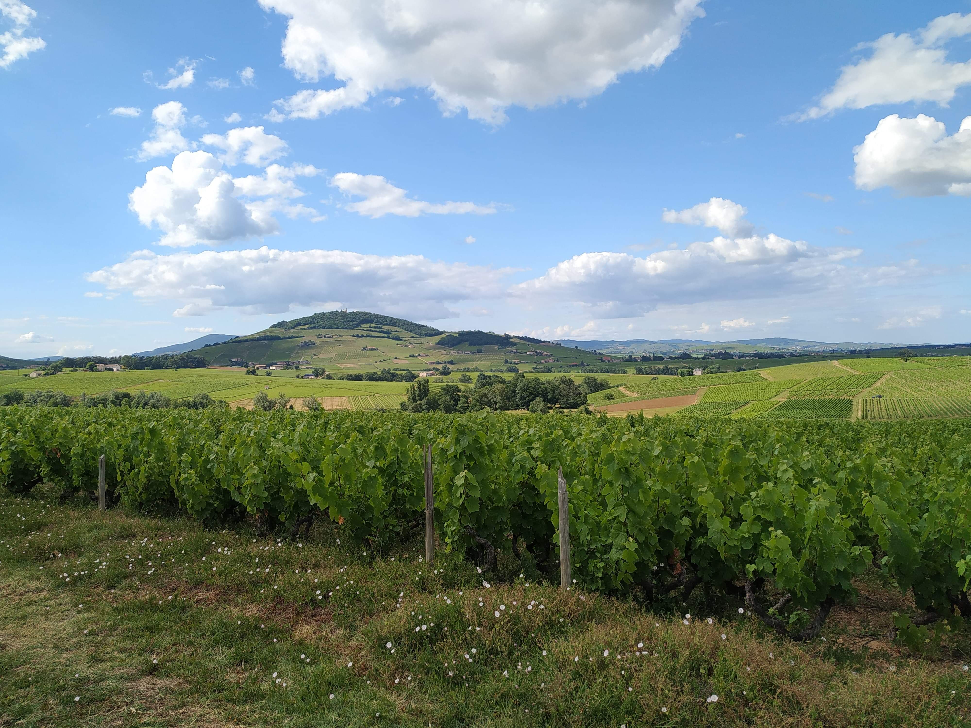 Domaine Chavrier