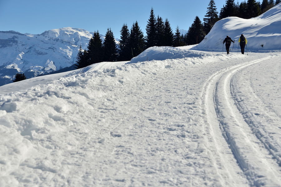 Ski de fond au plateau d'Agy