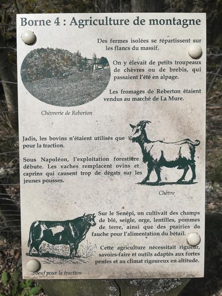 Le puits des Rioux à cheval_Susville