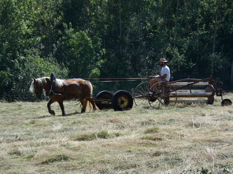 Le Château partagé_Dullin