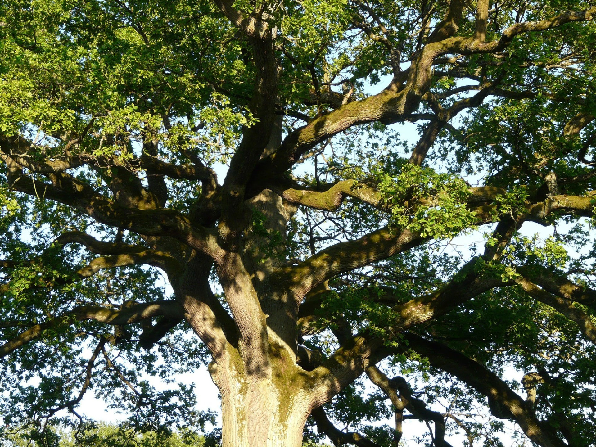 Balade nature au Bois de la Bastière