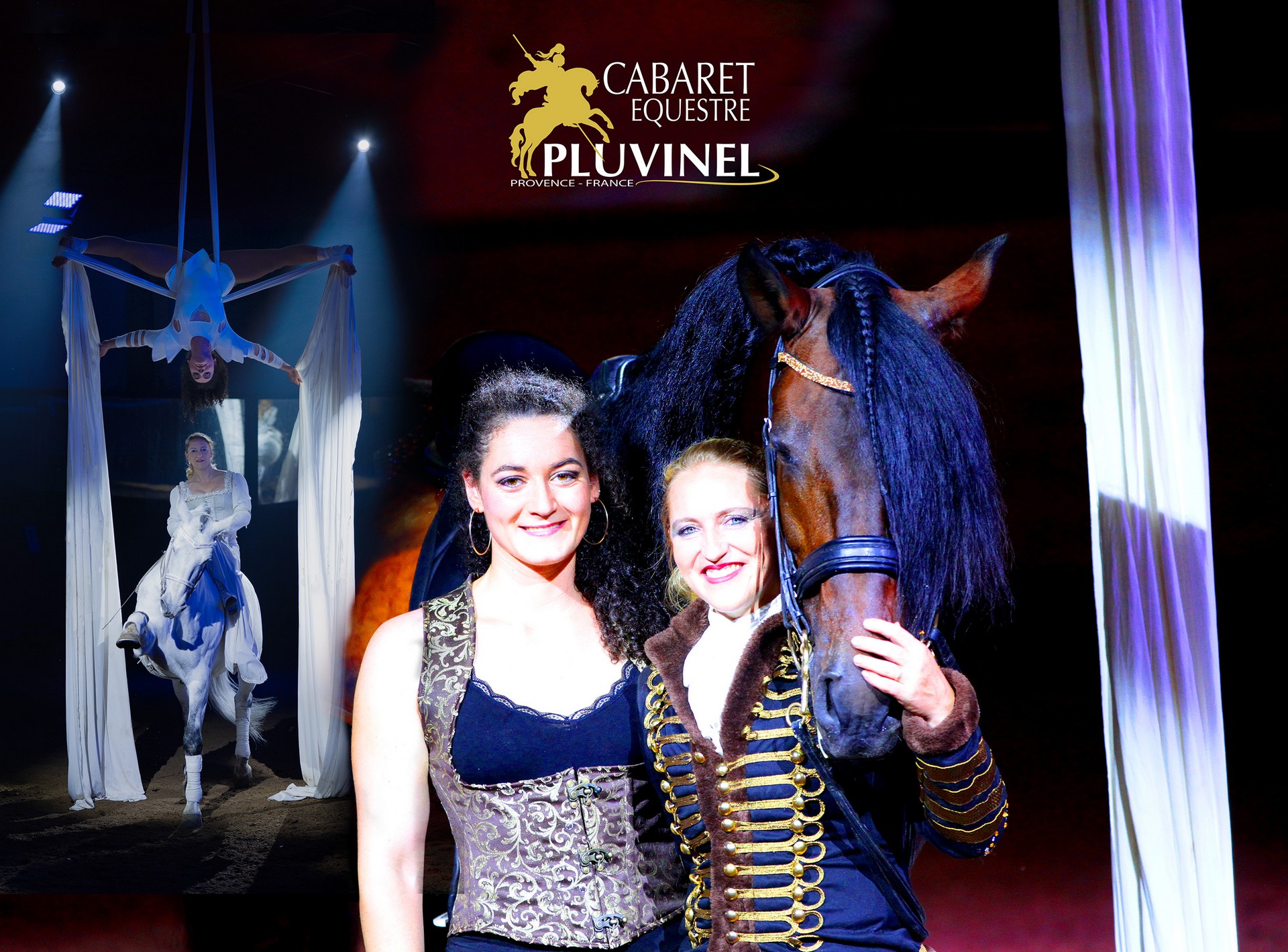 Pluvinel - La Cité du Cheval - photo 2