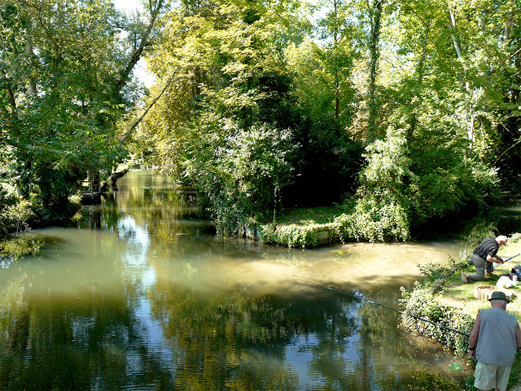 AAPPMA Les pêcheurs d'Anguilles de la Seugne