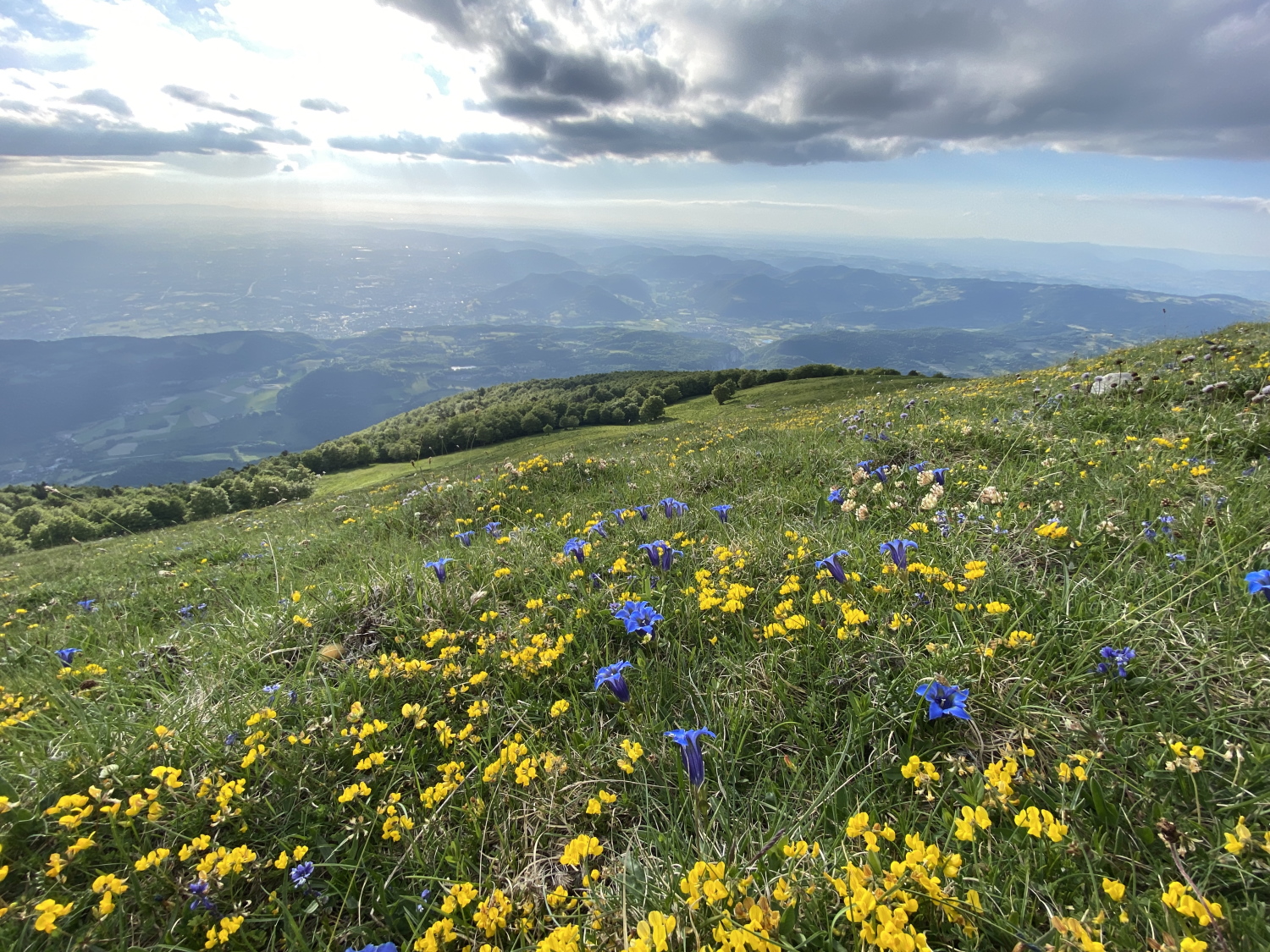 photosFeed-https://static.apidae-tourisme.com/filestore/objets-touristiques/images/76/34/42279500.jpg