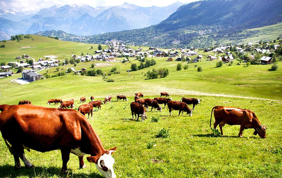 La Fête des Fromages de Savoie Du 28 au 29 juin 2025