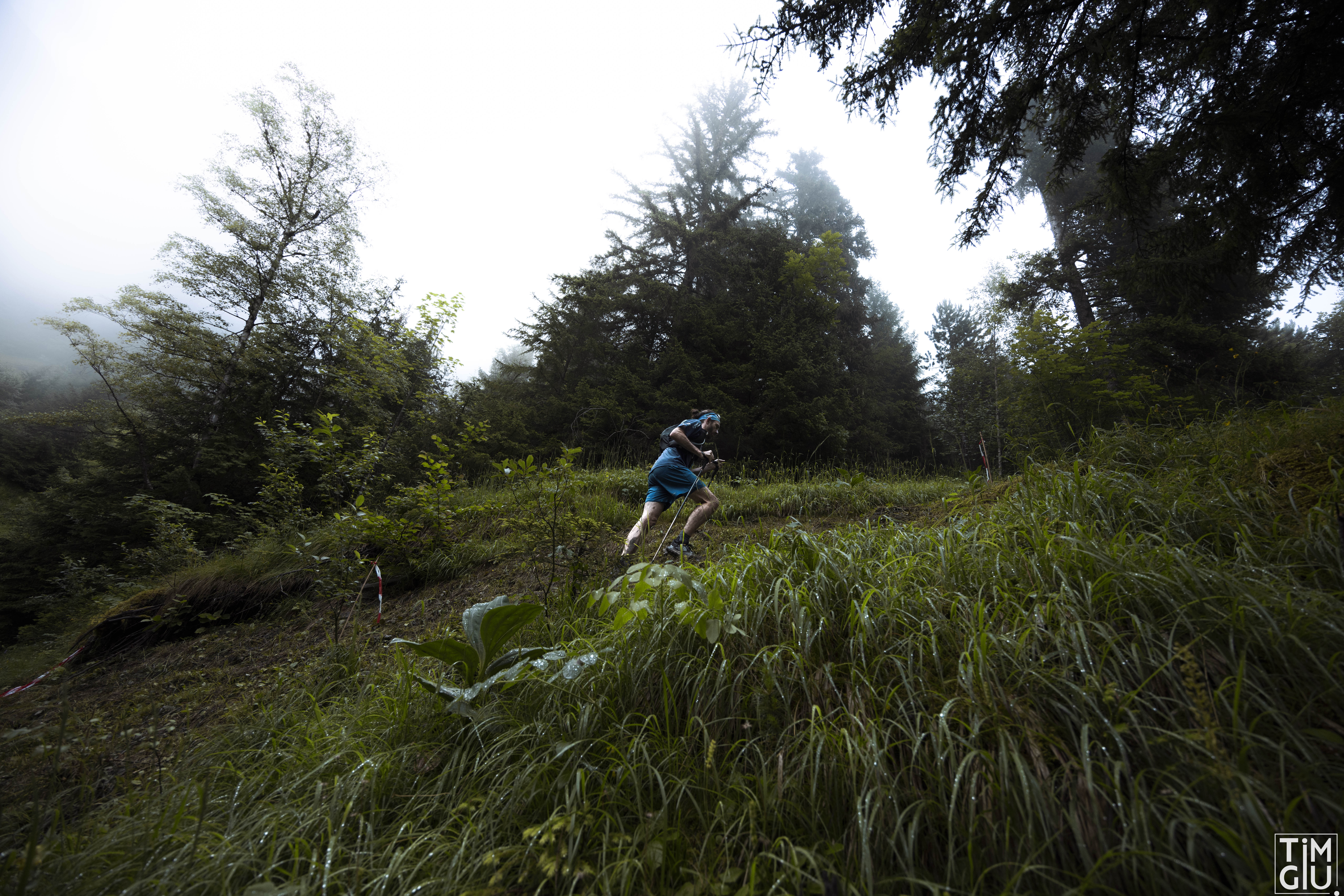 Trail du Tour des Fiz 2024