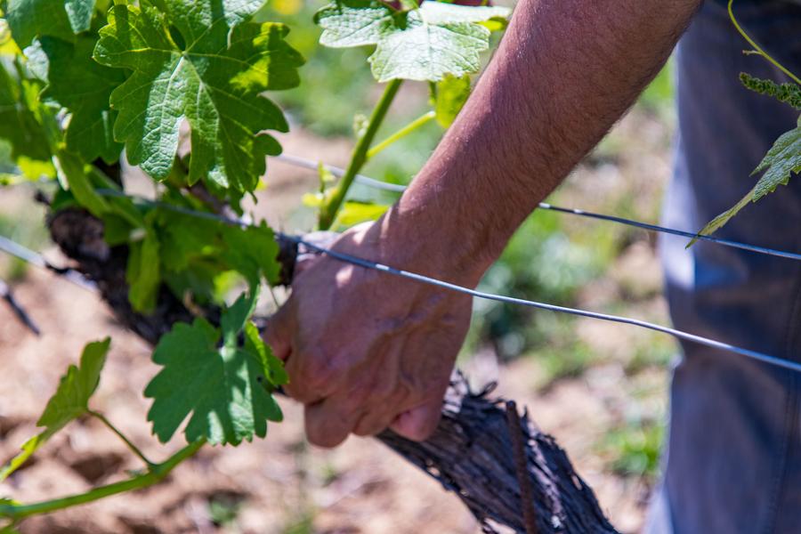 28474db5d5da07c1c9f0281bde857a52