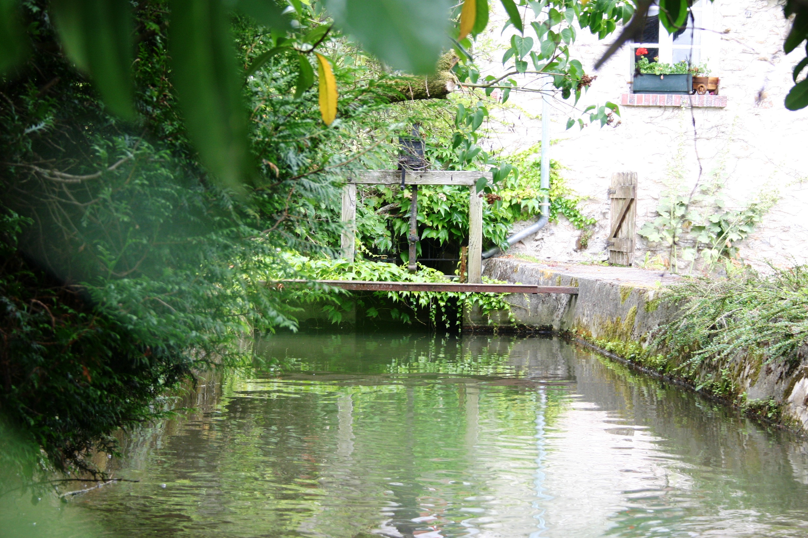 Le Moulin de Dannemarie