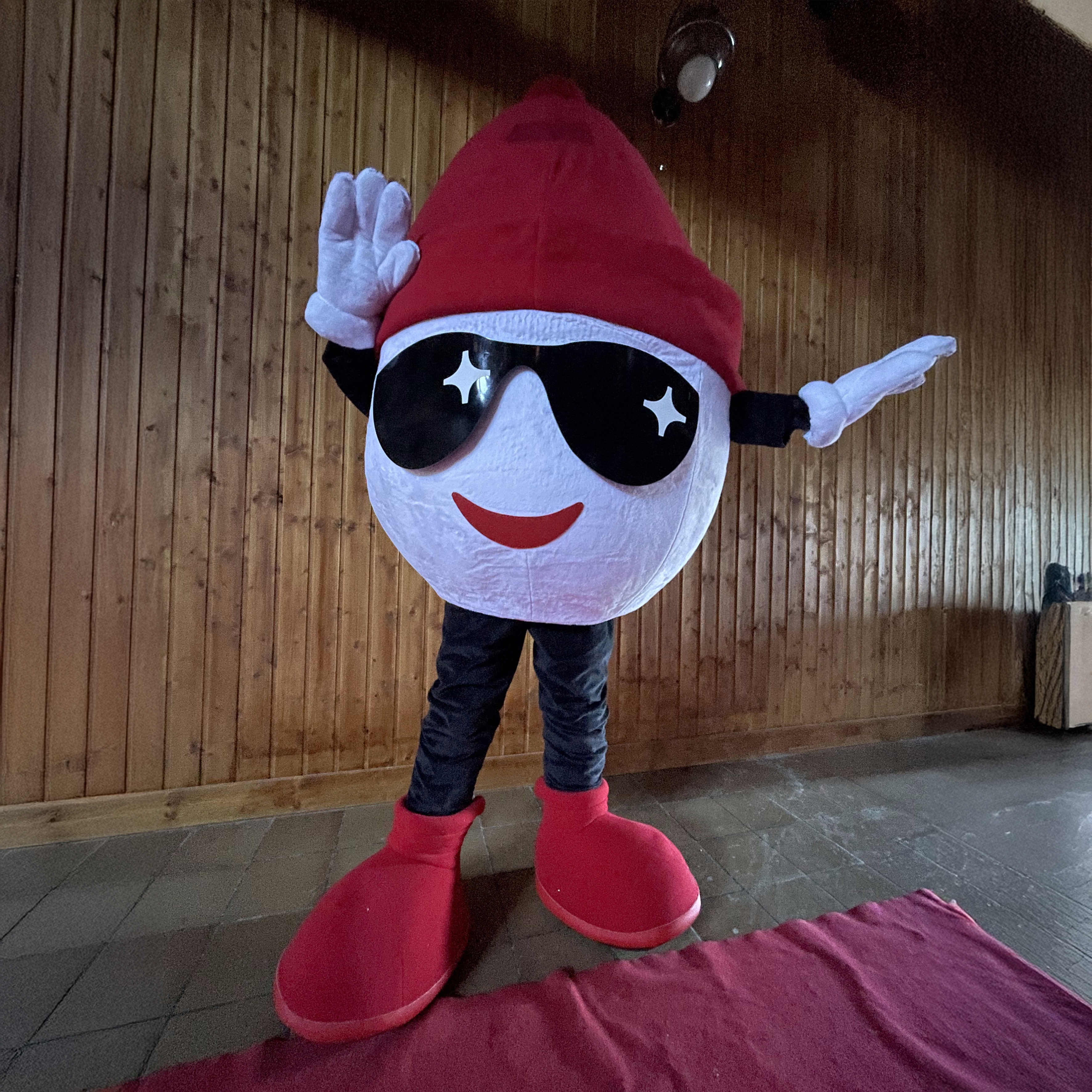 Rencontre avec Plagnou !