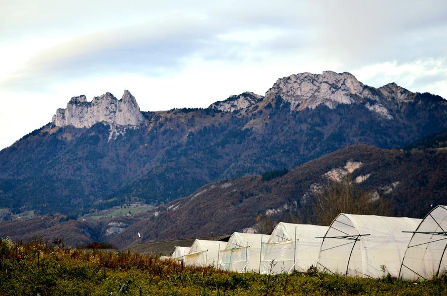 Les Ecolodges du Taillefer_Lathuile