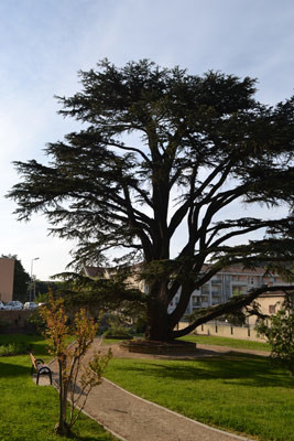 Square François Blanc