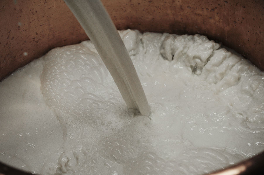 Lait frais pour la production de fromages