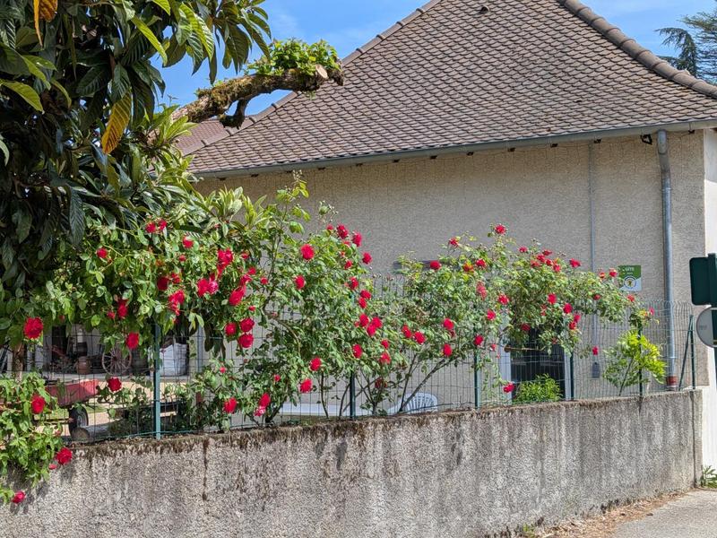 Vue du gîte depuis l'extérieur de la propriété, en pleine floraison des rosiers. Vue du gîte depuis l'extérieur de la propriété, en pleine floraison des rosiers.