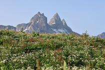 Vue sur les Aiguilles d'Arves depuis le Chalet d'la Croë