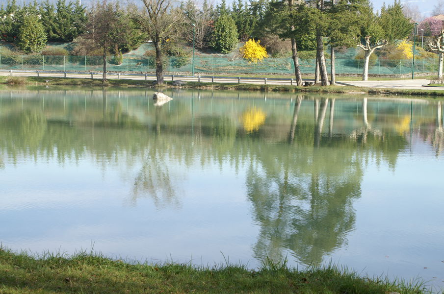 L'étang du Nièvre
