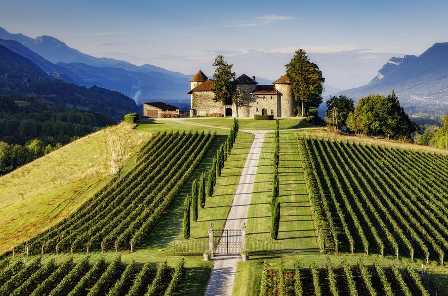 Vignoble et château chevalier Bayard