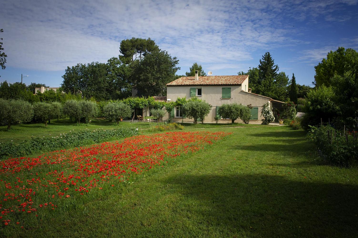 Le Grand Pin, Roquefort-la-Bédoule - photo 27