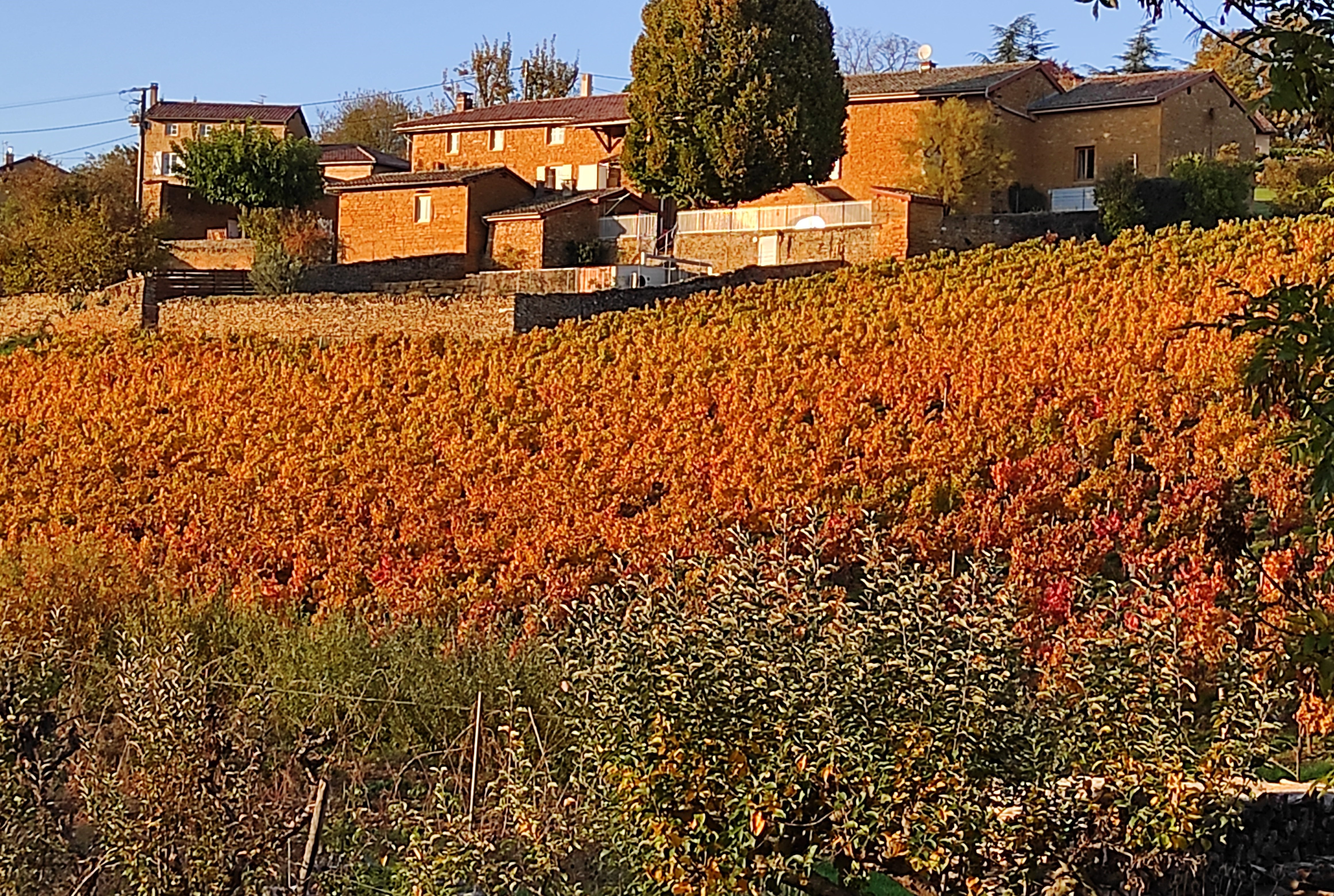 Gîte Jarnioux - Les Meublés des Pierres Dorées
