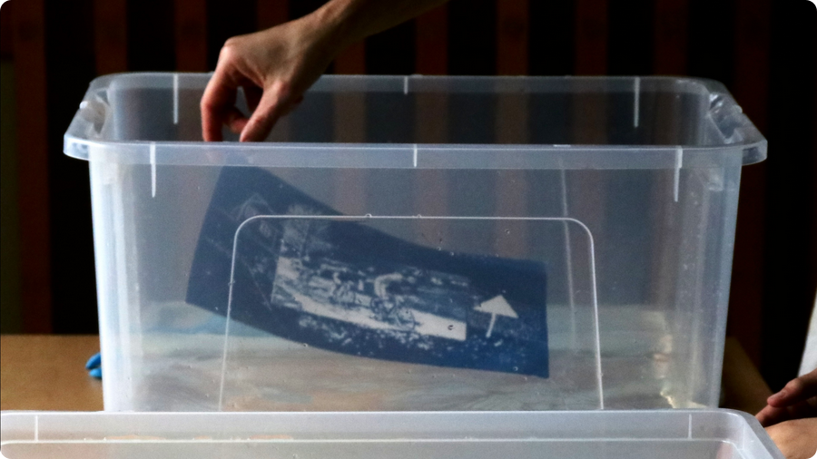 Atelier - Le cyanotype : technique de photo qui rend accro !