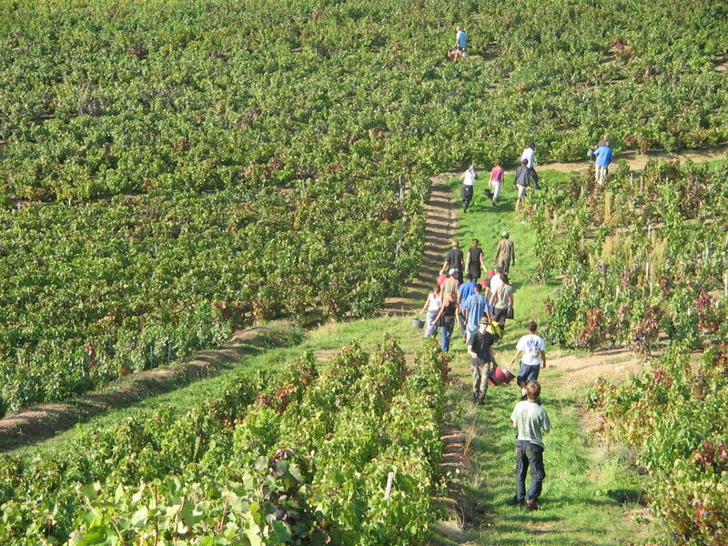 Domaine Lagneau