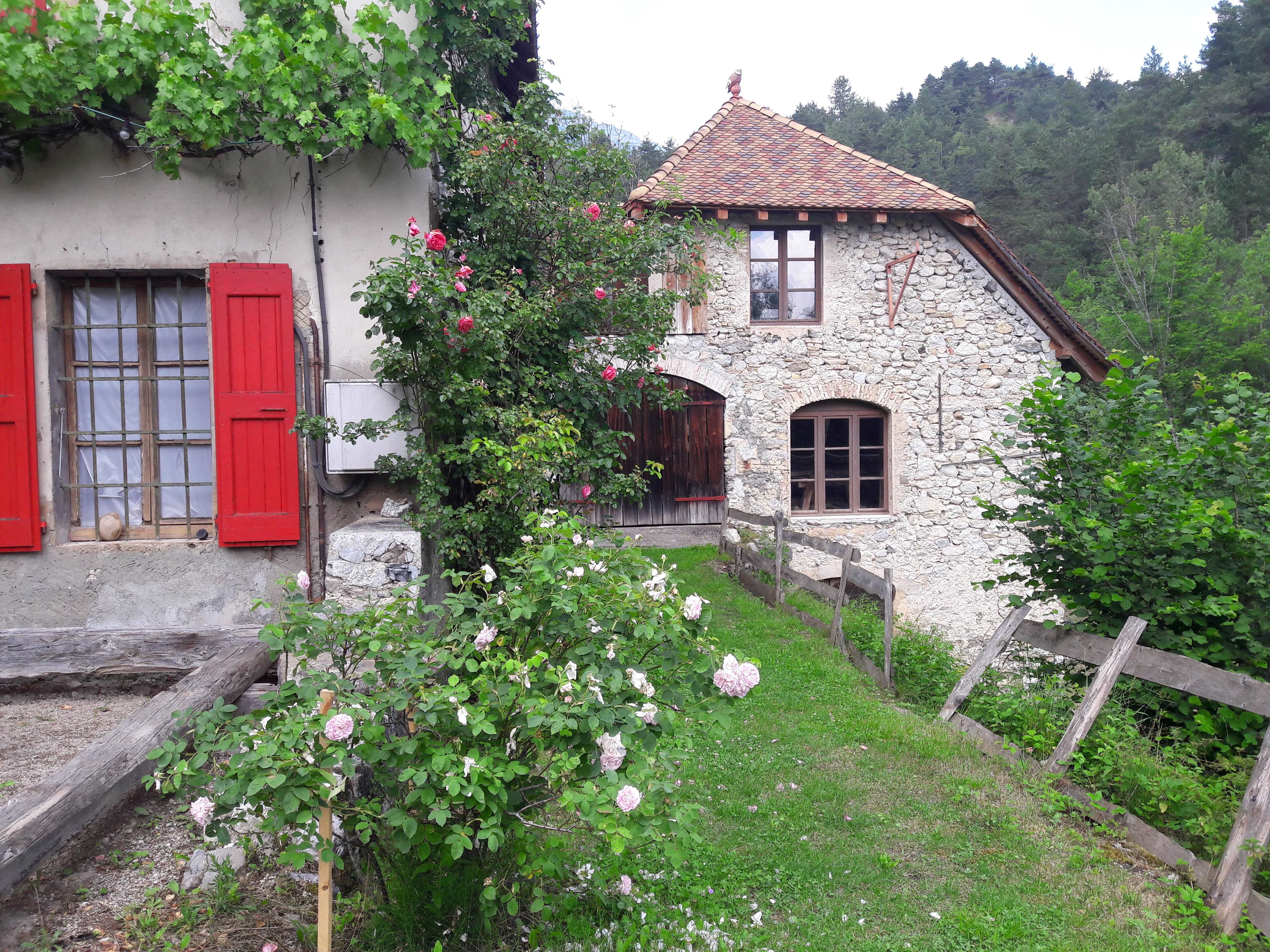 le moulin au printemps
