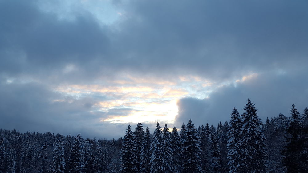 restaurant la Vattay