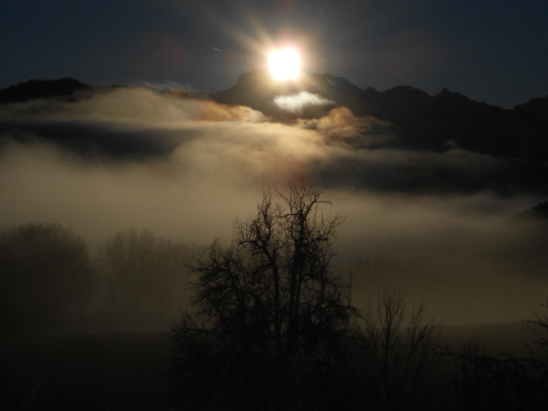 Installation La course du soleil_Roanne