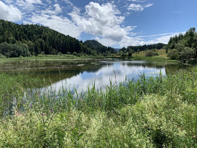 Randonnée - La ronde des étangs Marron
