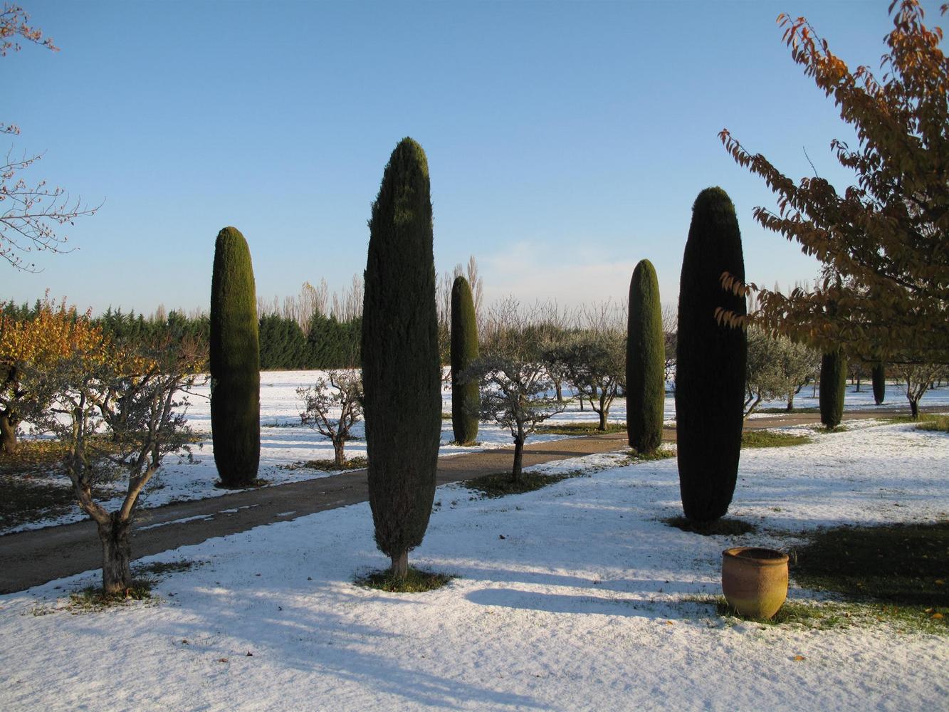 Villa Mélodie, Mollégès - photo 41