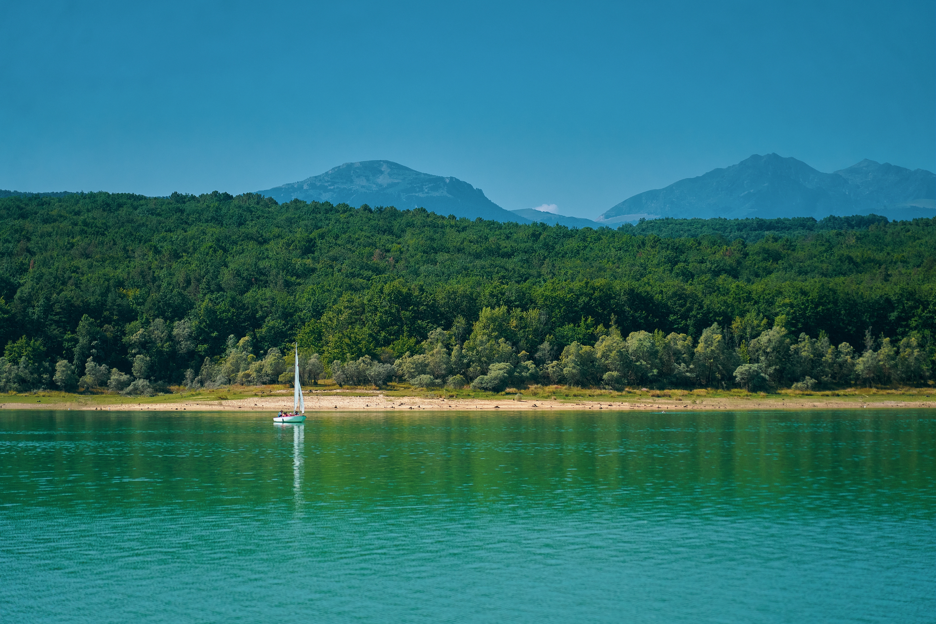 Paysage lac de Montbel