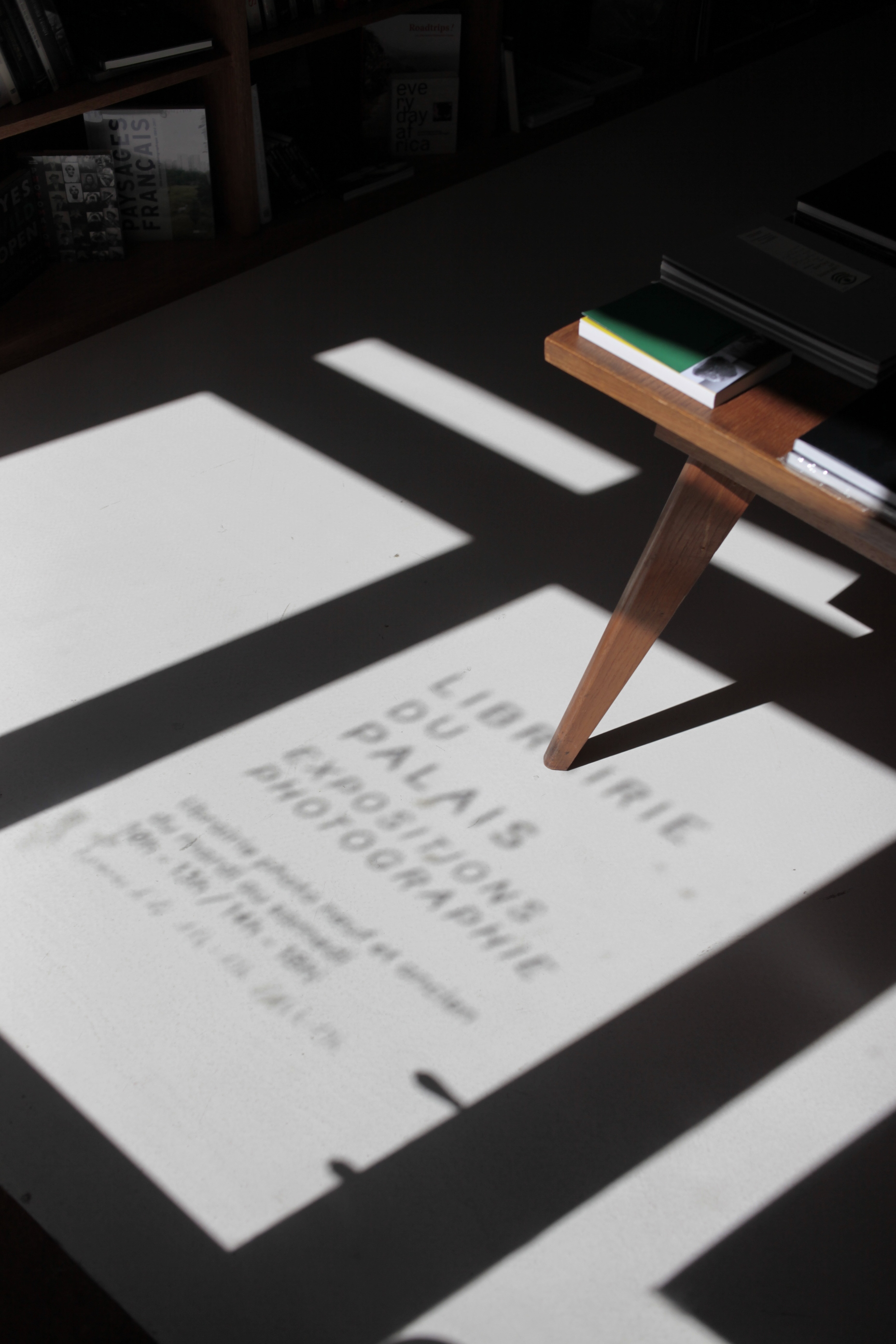 Galerie de la librairie du Palais