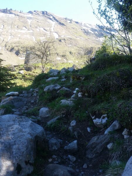 Sentier pédestre : Doran par le sentier du Gypaète