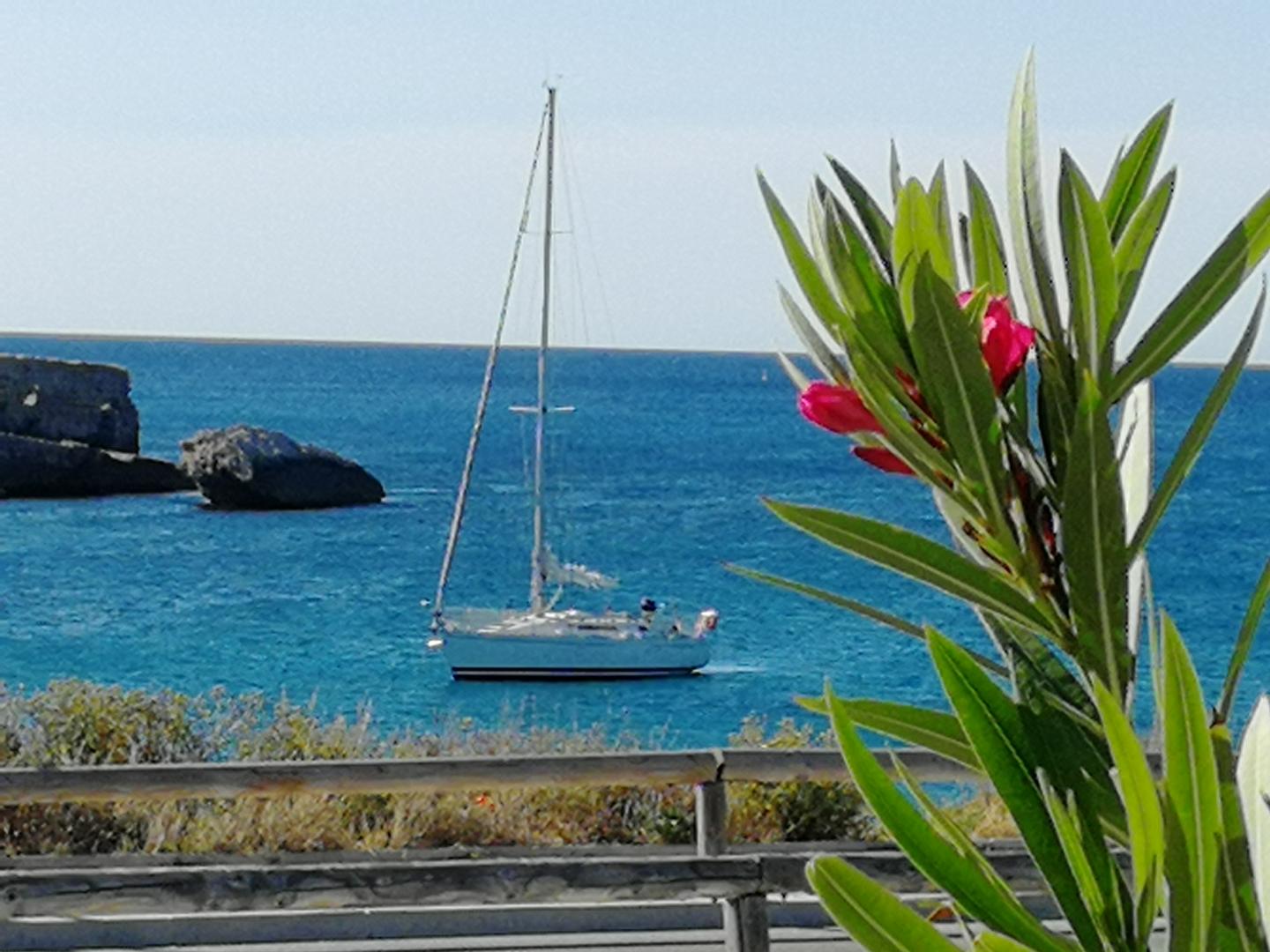 La Côte Bleue, Martigues - photo 10