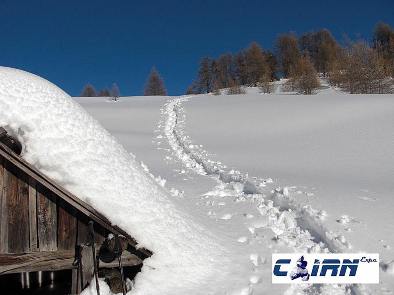 Raquettes à neige à Auron
