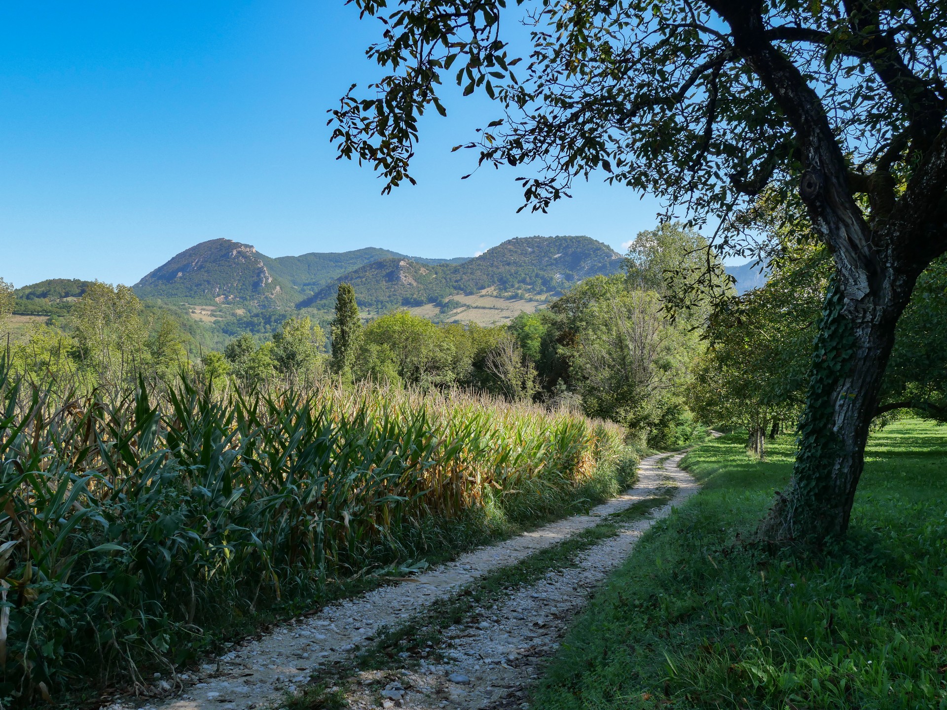 Sentier Au fil de la Bourne_De Saint-Nazaire-en-Royans à Rencurel