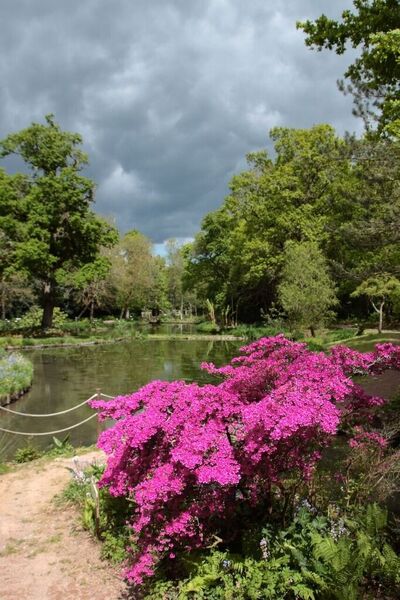Parc floral de la court d'Aron