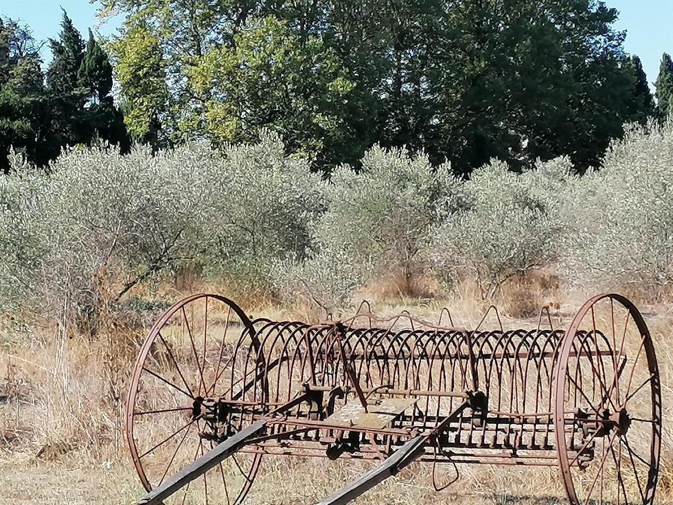 Luberon - Mas Canillac, Châteaurenard - photo 15