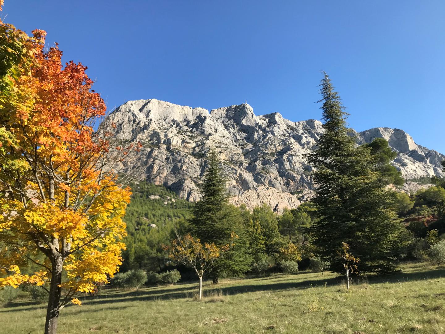 La Feuillère, Saint-Antonin-sur-Bayon - photo 43