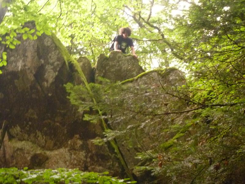 Chaos rocheux dans la hêtraie de la Roche d'Ajoux
