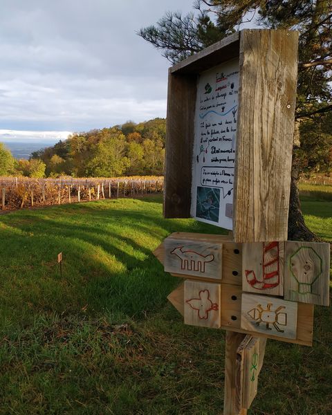 Sentier Nature Montmelas